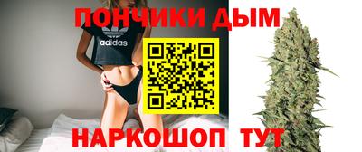 jwh Нальчик