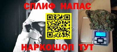 jwh Нальчик