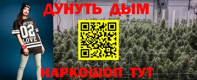 jwh Нальчик