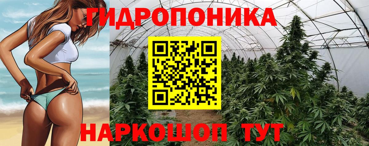 Шишки марихуана план Сосновый Бор