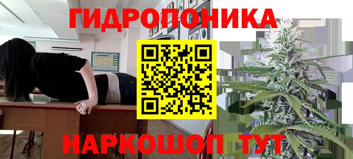 Марихуана конопля  Каннабис тримм  Сосновый Бор  Бошки Шишки MAZAR  Вход с VPN 